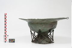 Foto von Bronzebreitrandfußschale (NHMW-PRAE-025437)